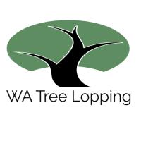 WA Tree Lopping Service image 5